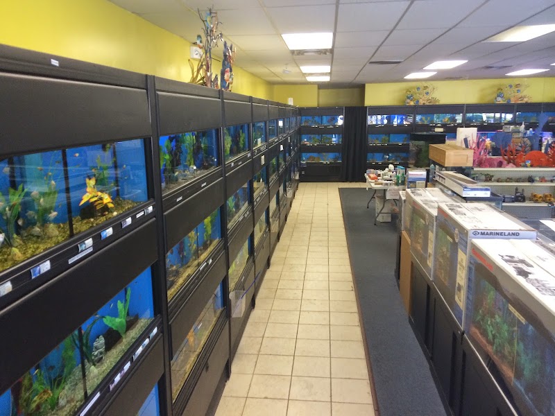 Crowned Aquatics Pet Supply - Photo 4