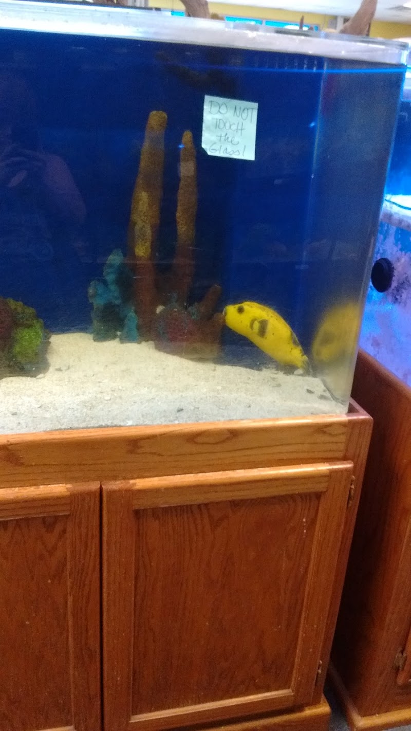 Crowned Aquatics Pet Supply - Photo 5