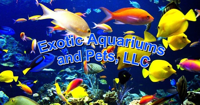Exotic Aquariums and Pets - Photo 2
