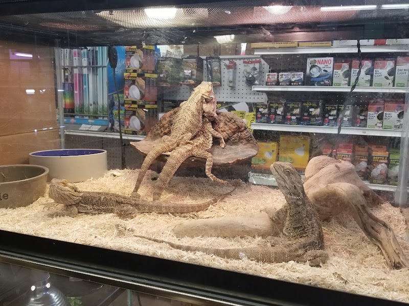 Aqualand Pets Plus - Photo 2