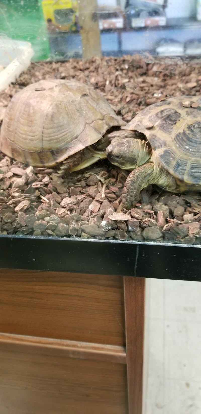 Aqualand Pets Plus - Photo 3