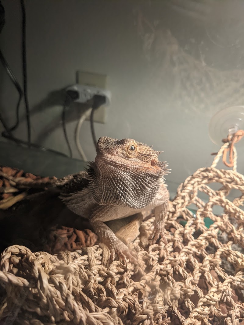 Aquatics & Exotics - Photo 4