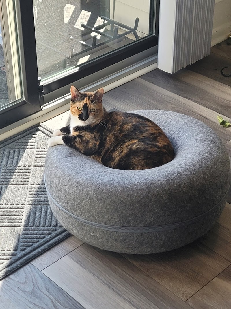 Iowa Pet Foods & Seascapes ARL west - Photo 4