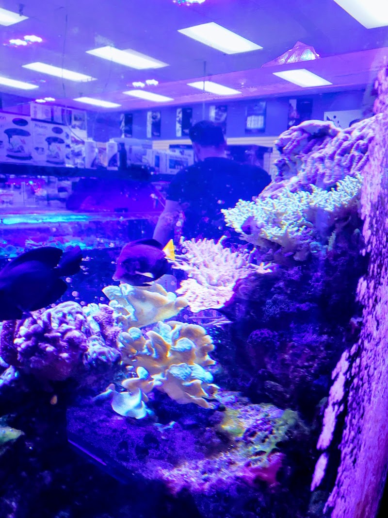 Iowa Pet Foods & Seascapes ARL west - Photo 5