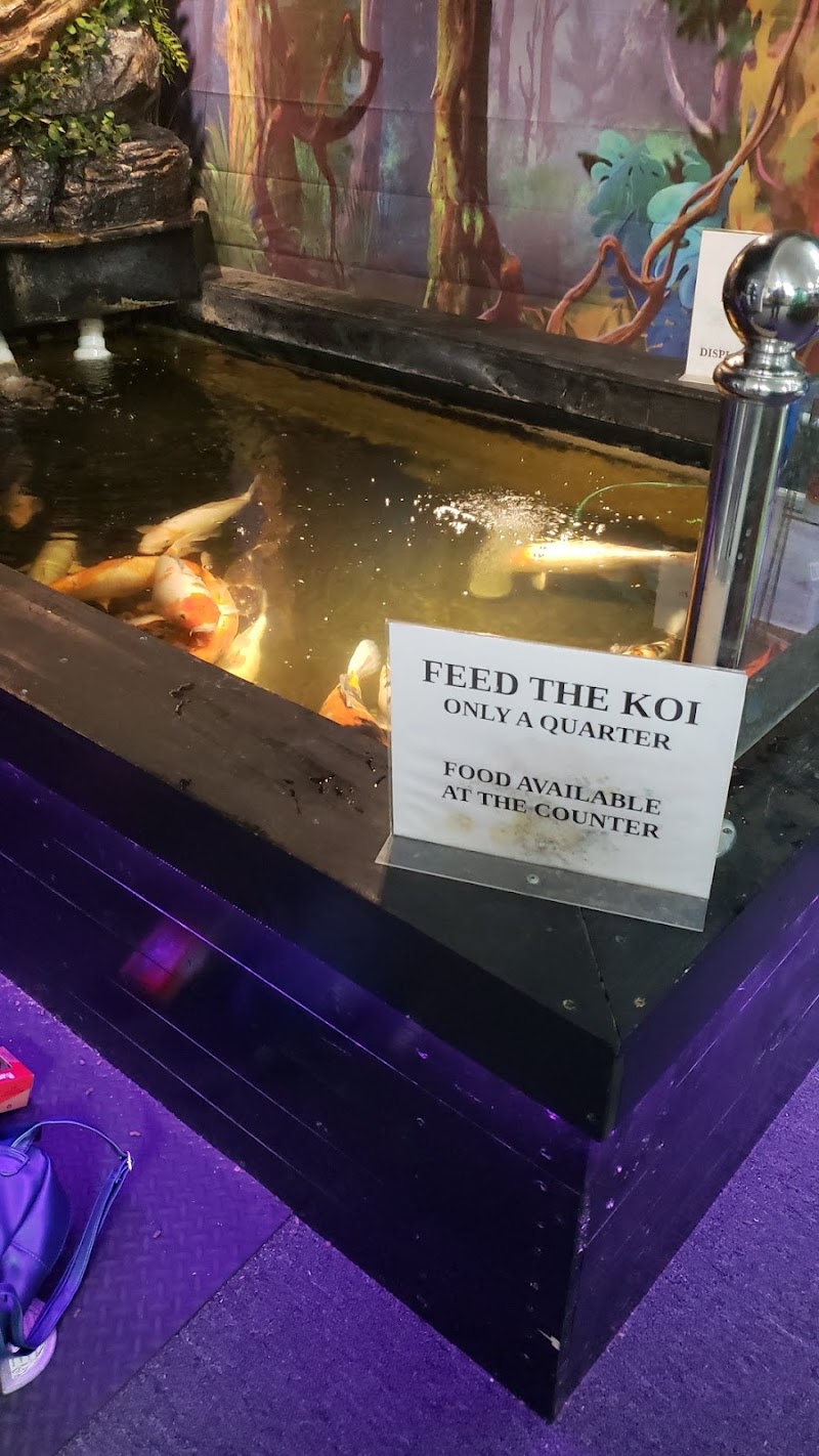 The Fish Room - Photo 2