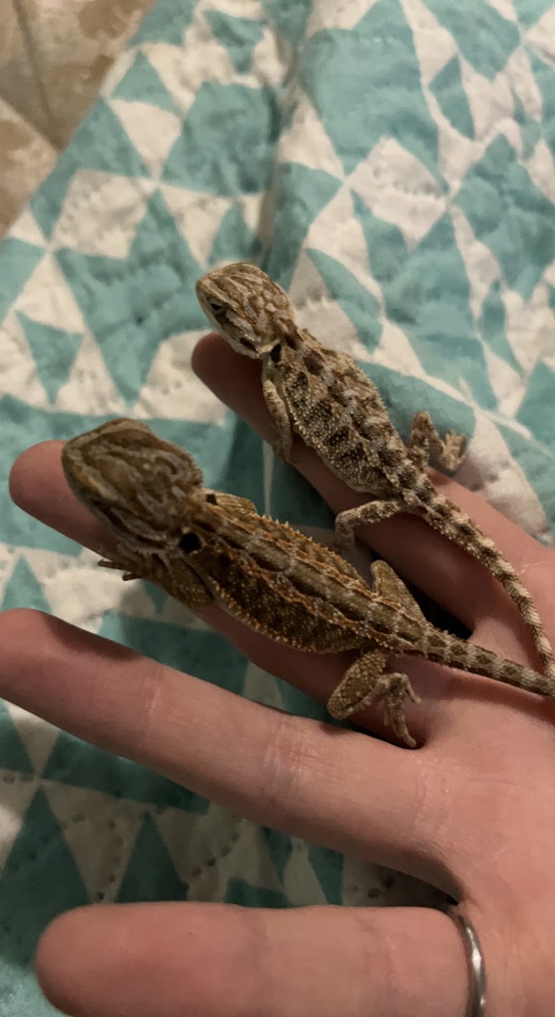 The Fish Room - Photo 3