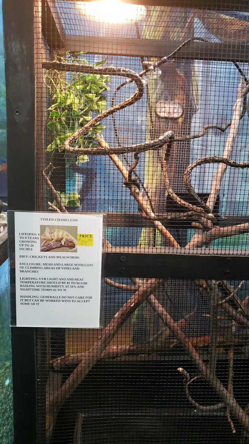 The Fish Room - Photo 4