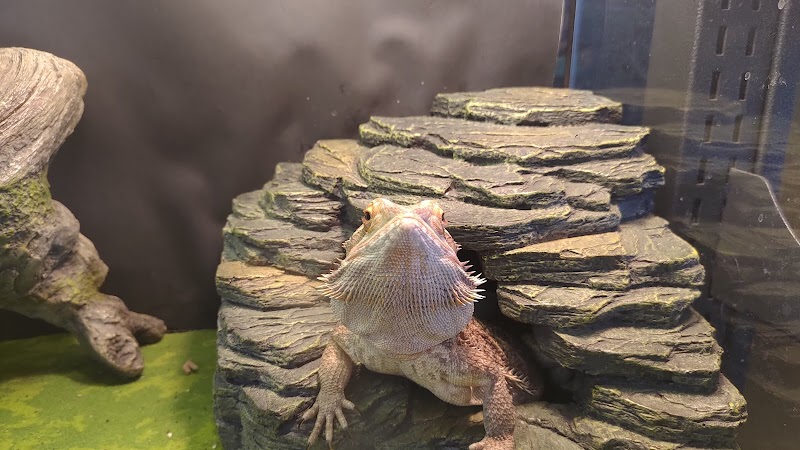 The Fish Room - Photo 5