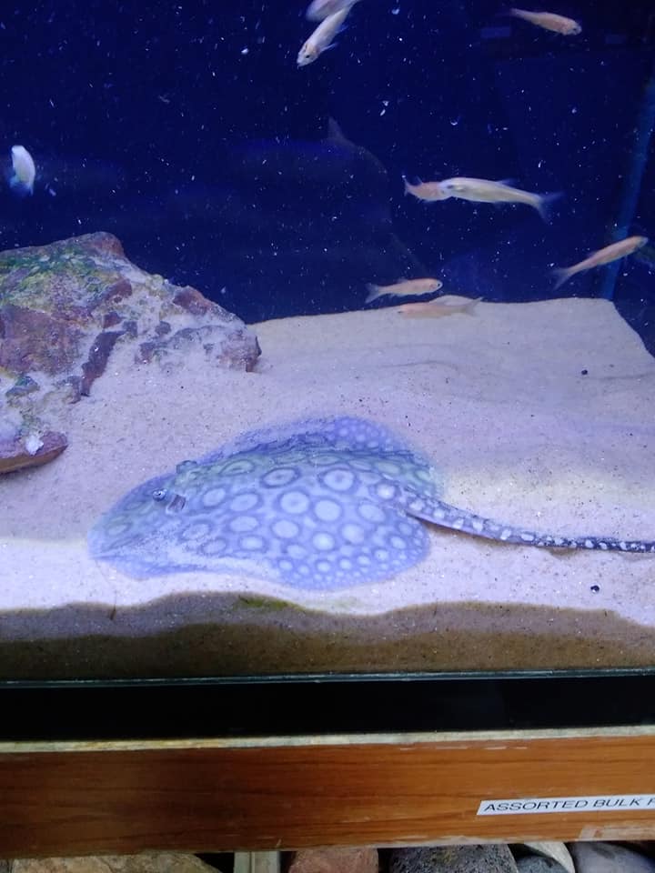 Aquatic Environments - Photo 2