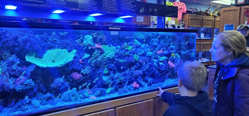 Aquatic Environments - Photo 3