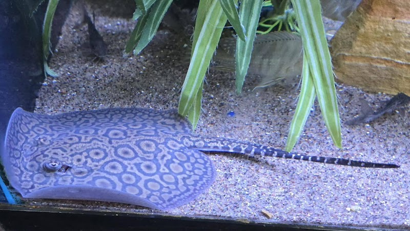 Aquatic Environments - Photo 5