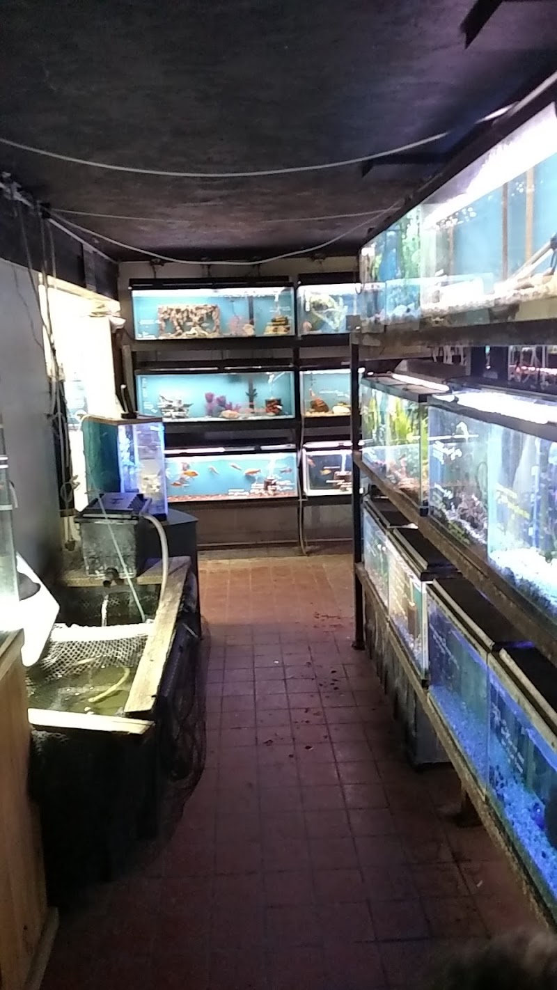 Roe Aquarium & Pet Co - Photo 2