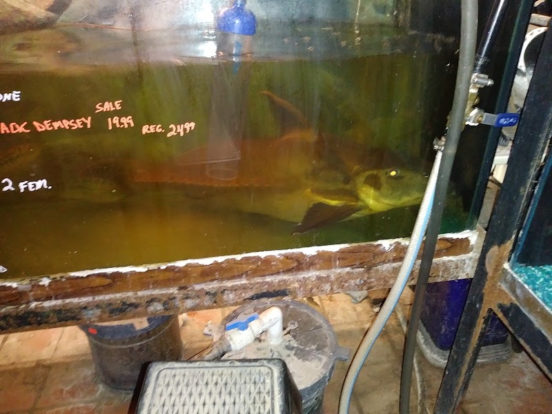 Roe Aquarium & Pet Co - Photo 3