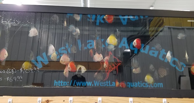 West Lake Aquatics - Photo 1