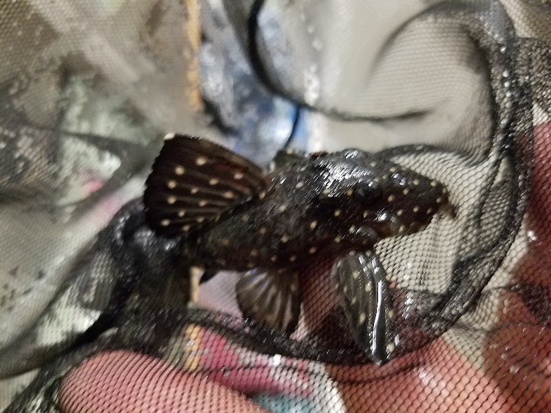 West Lake Aquatics - Photo 3