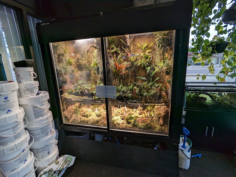 The Local Fish Store - Photo 3