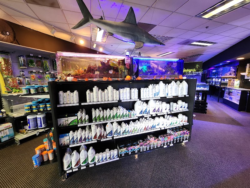 The Local Fish Store - Photo 5