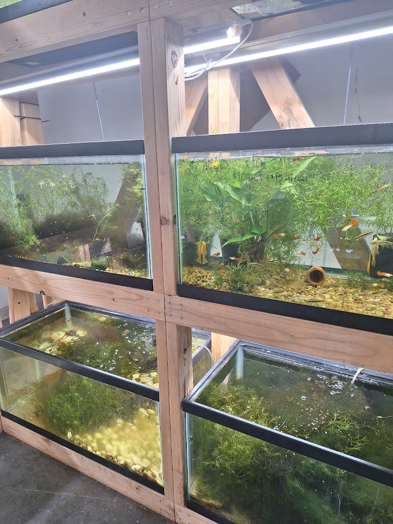 Iowa City Tropicals - Photo 3