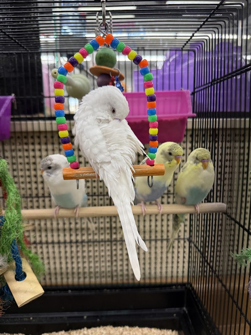 Teske Pet & Garden - Photo 3