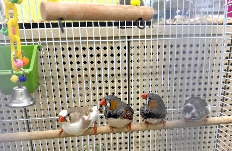 Teske Pet & Garden - Photo 5