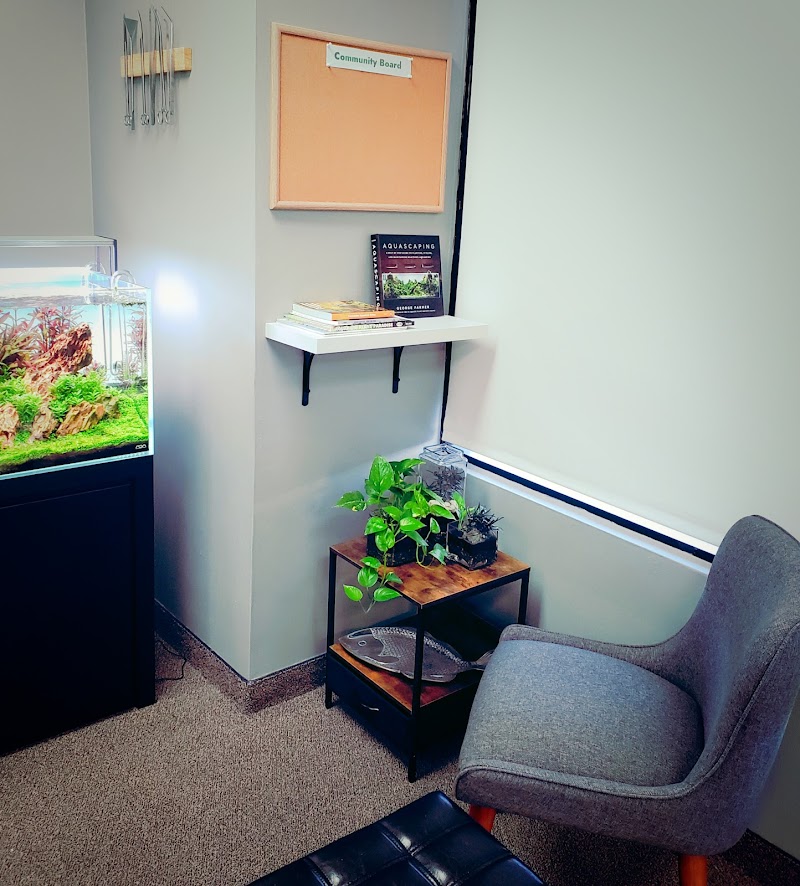 The Fish Geek - Photo 2