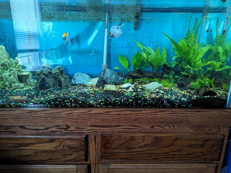 The Fish Geek - Photo 3