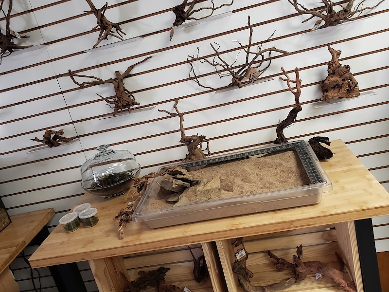 The Fish Geek - Photo 4