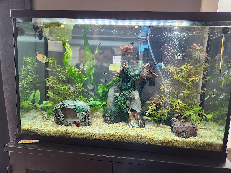 The Fish Geek - Photo 5