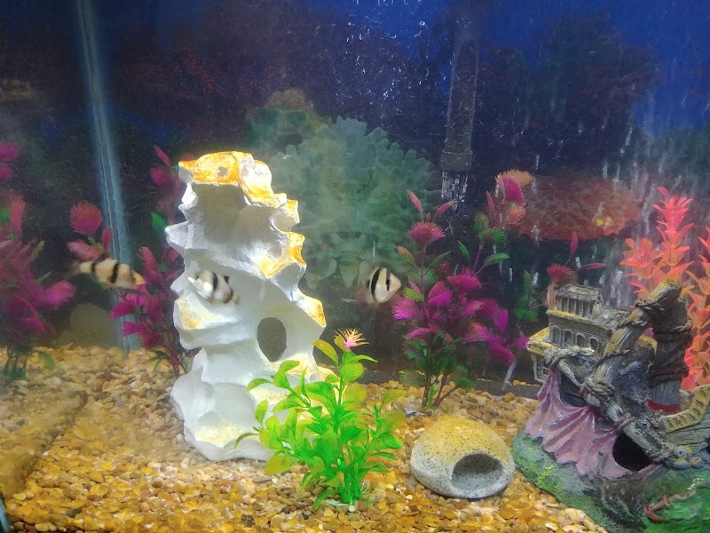 Coral Reef - Photo 5