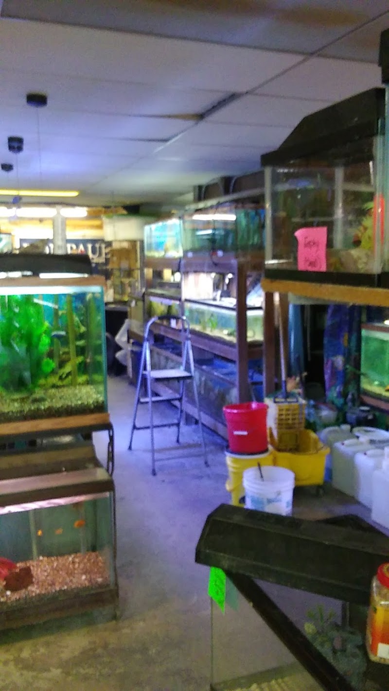 Fish Shack - Photo 2