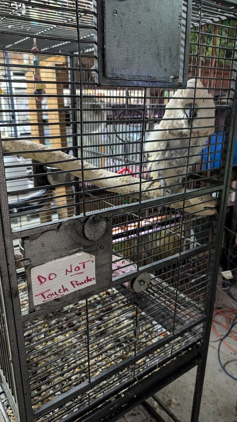 Fish Shack - Photo 3