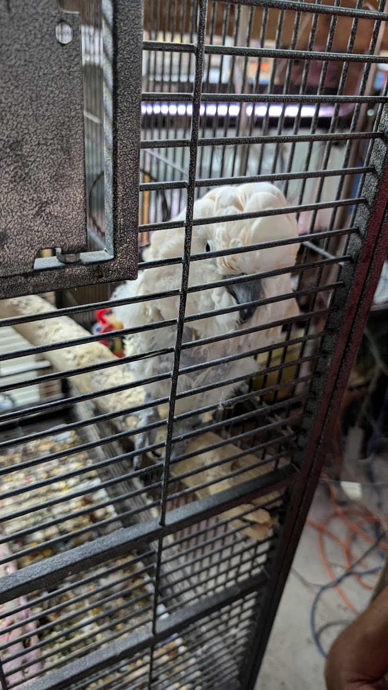 Fish Shack - Photo 5