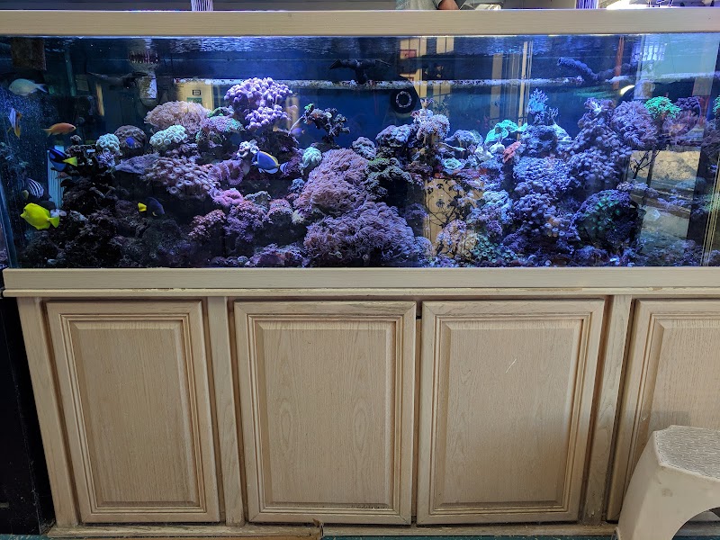 Sea of Marvels Inc - Photo 1