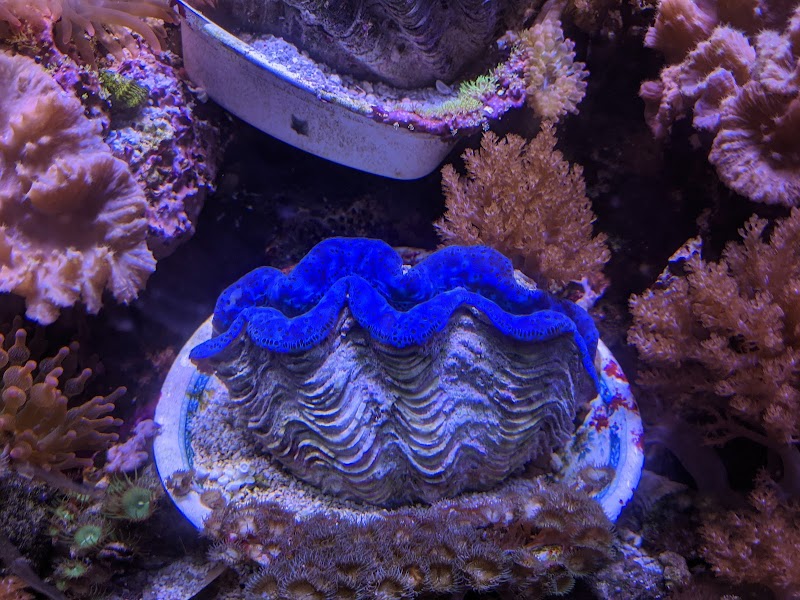 Sea of Marvels Inc - Photo 2