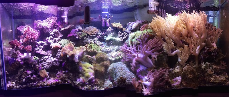 Sea of Marvels Inc - Photo 3