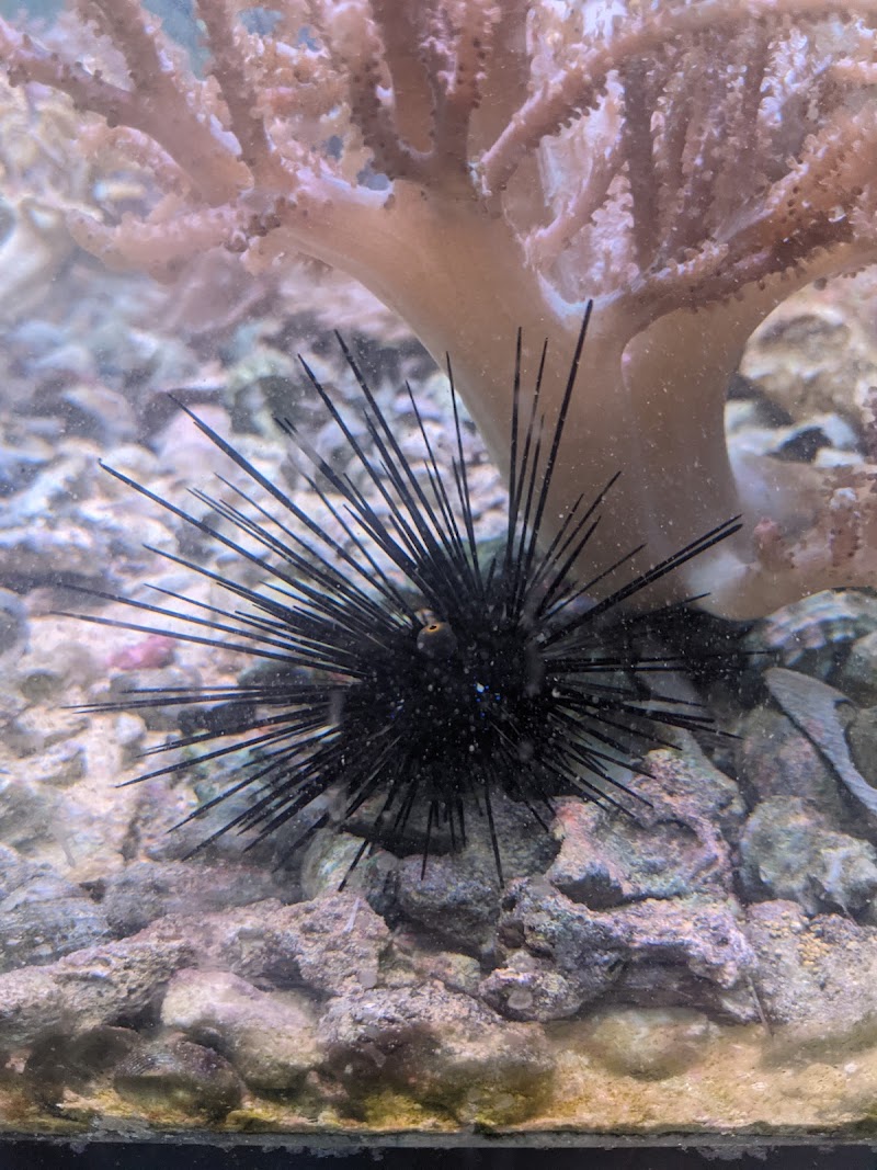 Sea of Marvels Inc - Photo 4