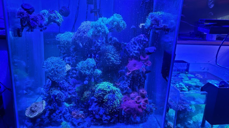 Sea of Marvels Inc - Photo 5