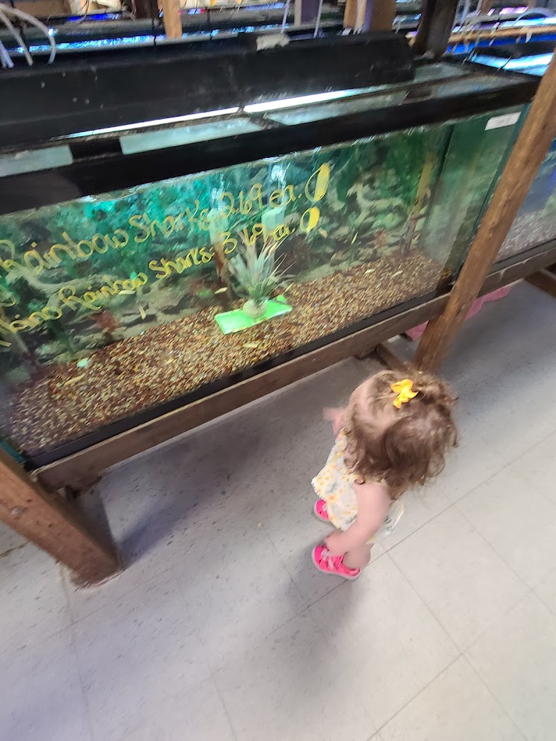 Pet's Playhouse - Photo 3