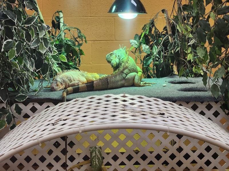 Pet's Playhouse - Photo 5