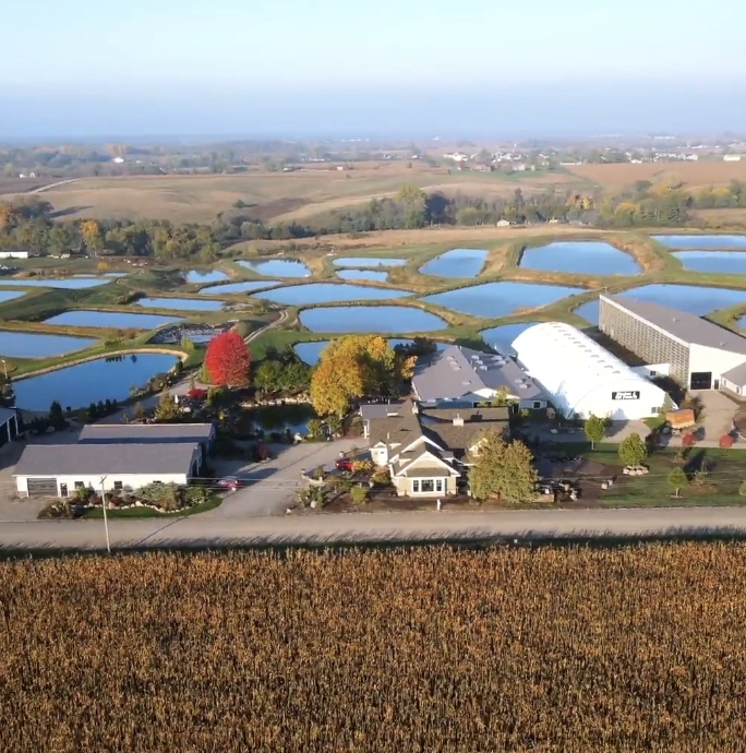 Kloubec Koi - Photo 4