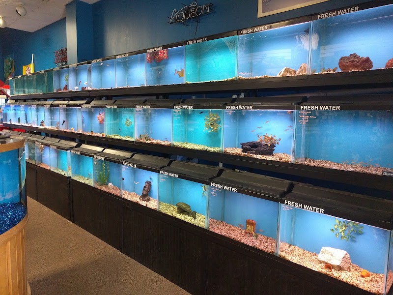 Shark's Cove Pet Shop - Photo 3