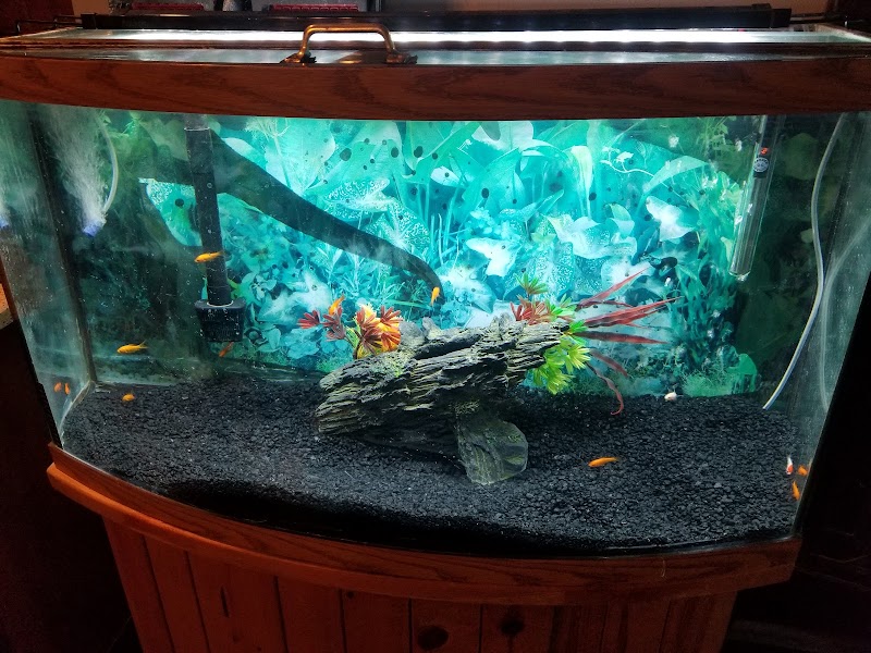 Shark's Cove Pet Shop - Photo 4