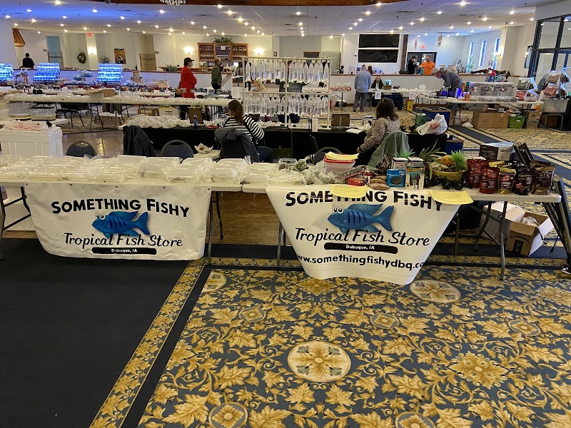 Something Fishy - Photo 1