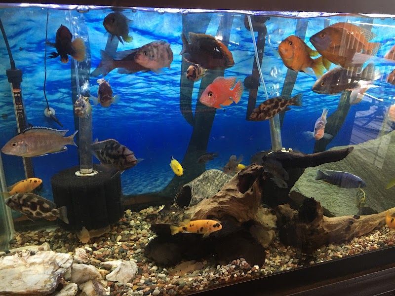 Something Fishy - Photo 3