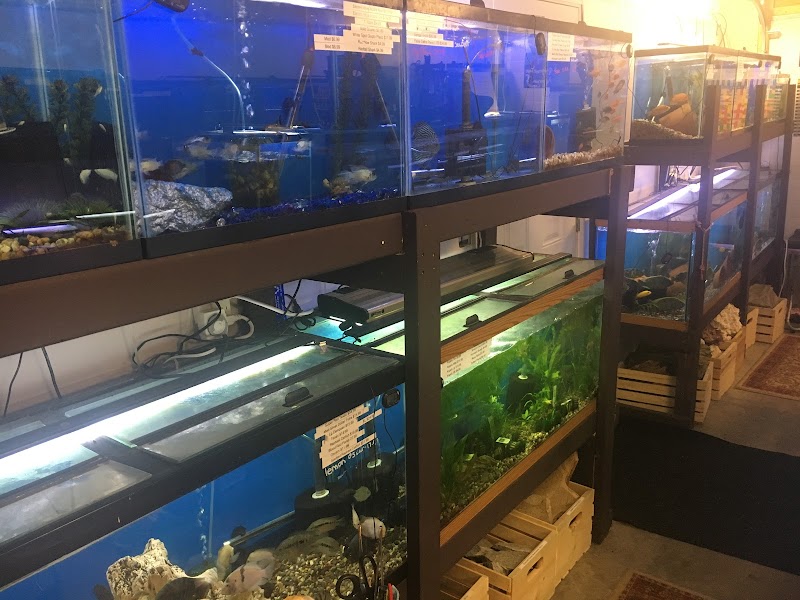 Something Fishy - Photo 5