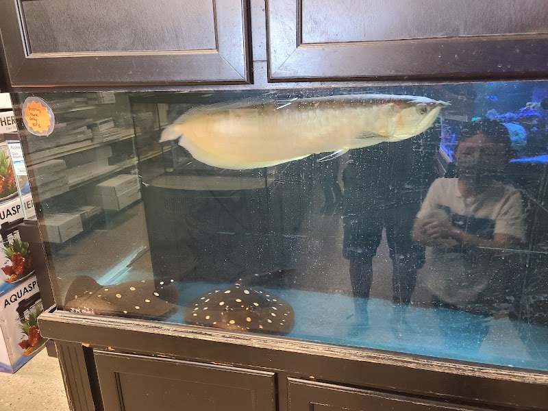 Fish Freaks - Photo 3