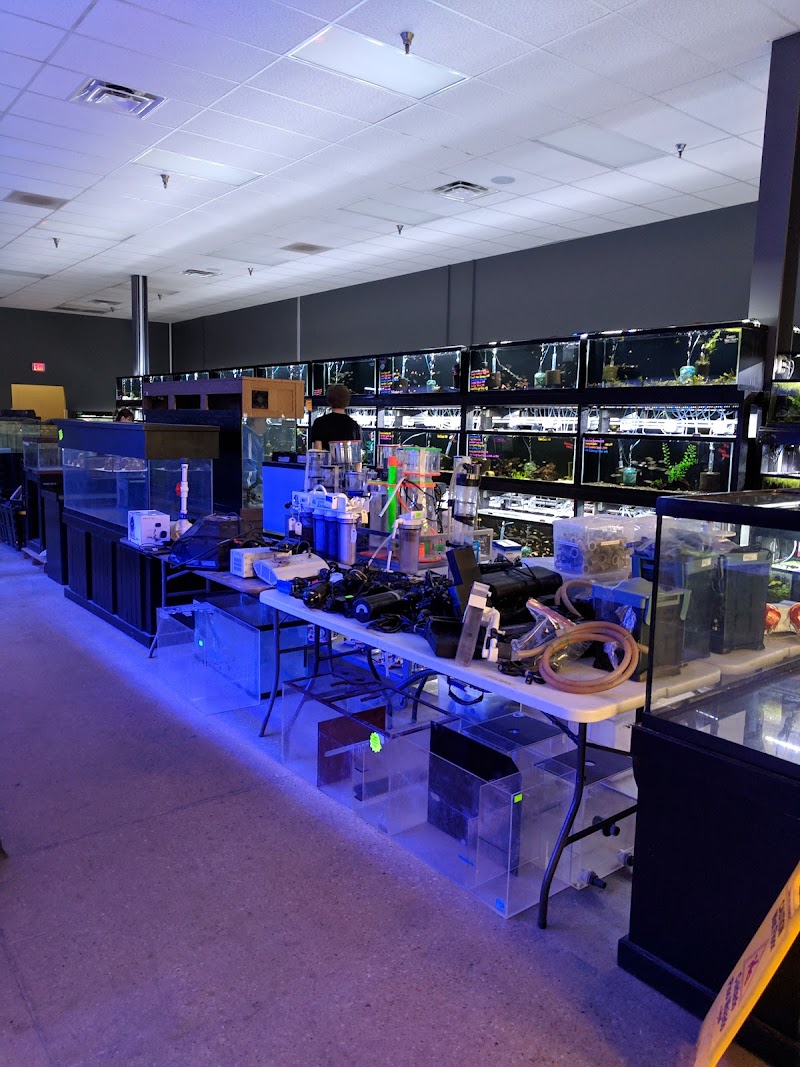 Fish Freaks - Photo 4