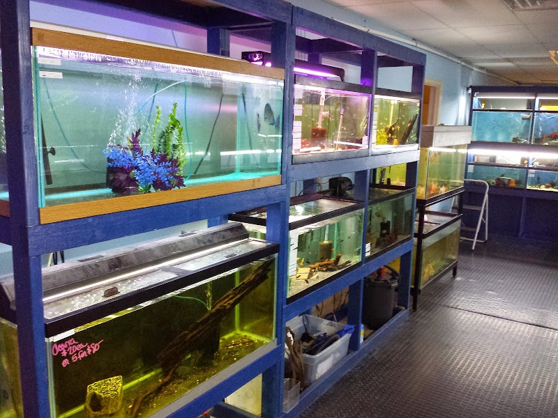 Fin-Tastic Fish - Photo 2