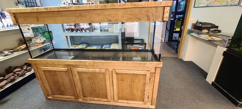 Fin-Tastic Fish - Photo 4