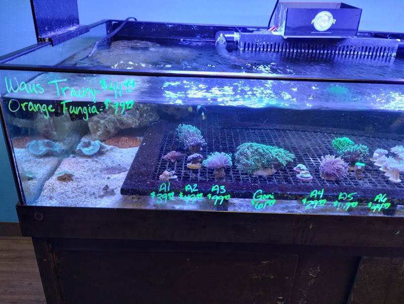 Reef Keepers - Photo 2